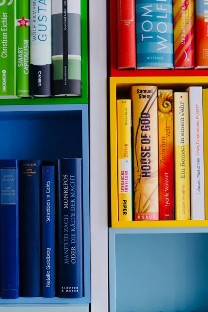 istock Colorful library book shelves packed with books 911394322