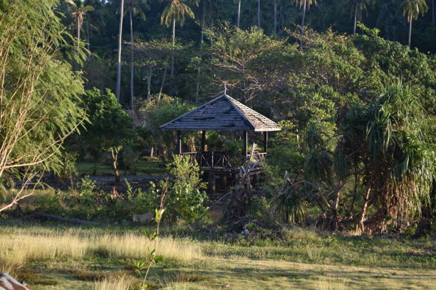 istock tropical evening light with wooden hut and palmtree 911394872