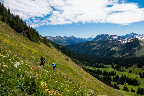 istock Trekking in a beautiful mountain range 911397856