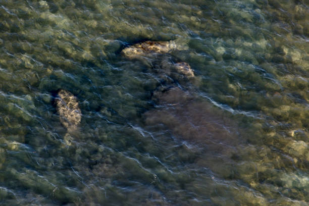 istock Aerial of Mannatee 911398512