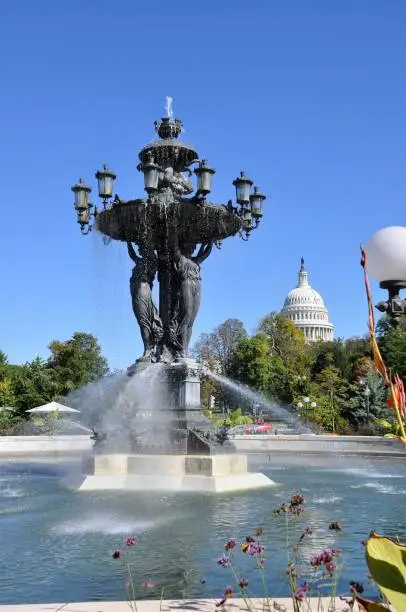 The Bartholdi fountain is located near greenhouses of the Botanical garden.  Square with the Bartholdi fountain – the simple vacation spot of  Washington.