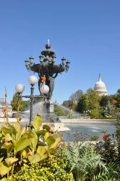 The Bartholdi fountain is located near greenhouses of the Botanical garden.  Square with the Bartholdi fountain – the simple vacation spot of  Washington.