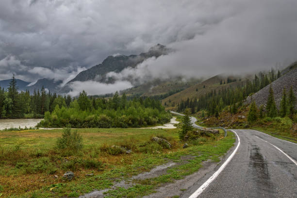 istock road mountains fog forest cloudy 911408508