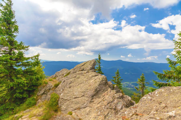 istock Summer landscape in National park Bayerische Wald 911408836