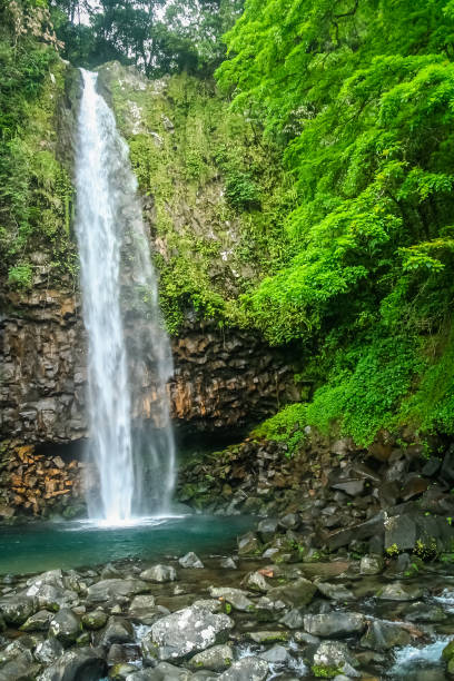 istock Small waterfall in the dense jungle of Sumatra 911419962