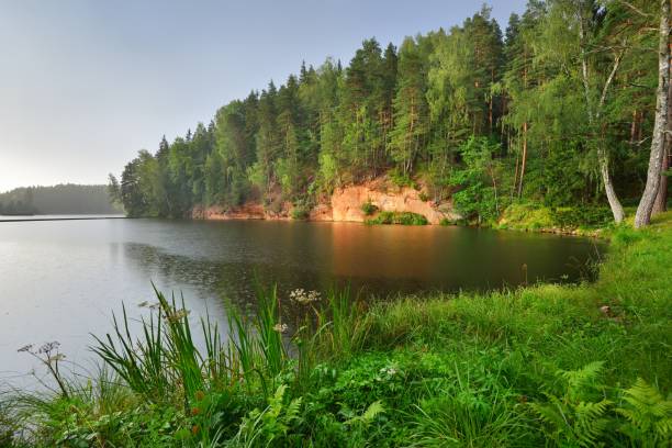 istock Sandstone cliffs in Gauja national park, Latvia 911422980