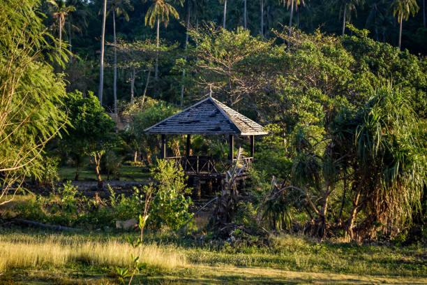 istock tropical evening light with wooden hut and palmtree 911425964