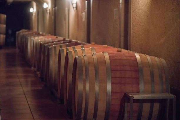 istock Wooden wine barrels 911427040