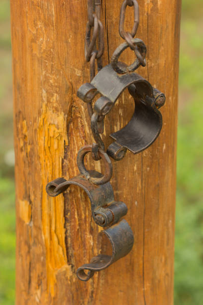 istock Old Shackles with metal chain hanging on the log 911435408