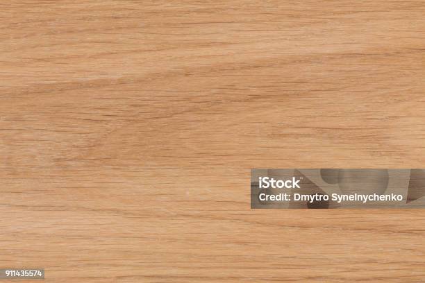 A Fragment Of A Wooden Panel Hardwood Stock Photo - Download Image Now - Wood - Material, Oak Wood - Material, Textured