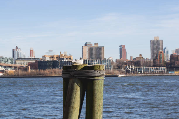 istock Coin Binoculars New York City 911435782
