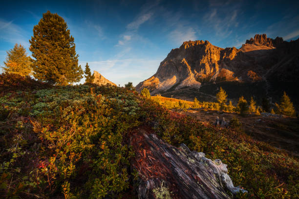 istock Falzarego Pass, Dolomites 911455730
