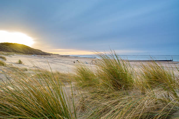 plage de la mer du nord aux pays-bas - zeeland photos et images de collection