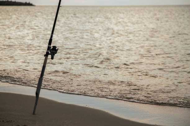 istock rod on the sea coast 911459288