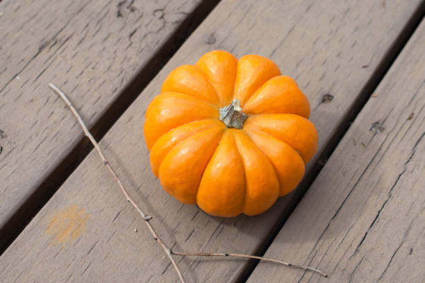 istock Pumpkin on wooden floor. 911463872
