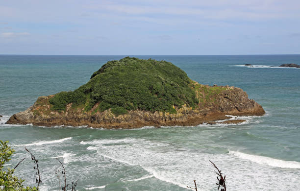 istock Motuotamatea Island 911468882