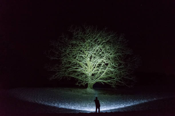 istock Man standing outdoors at night in Sweden Scandinavia winter landscape shining with flashlight at tree 911469012