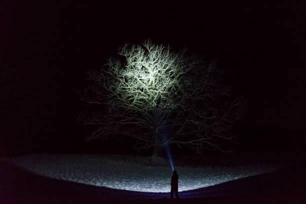 istock Man standing outdoors at night in Sweden Scandinavia winter landscape shining with flashlight at tree 911469044