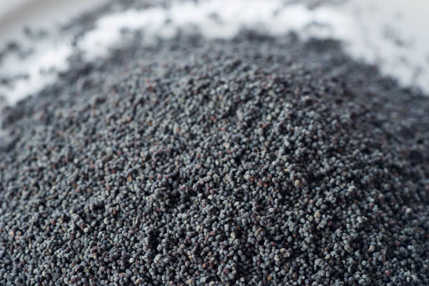 istock heap of dried poppy seed 911471368