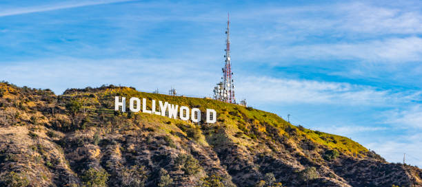Hollywood Sign and Dog Park Los Angeles, United States - January 27, 2018: Close-up of the famous Hollywood Sign and Dog Park for local residents. Photograph taken from Lake Hollywood Dog Park. experiential travel stock pictures, royalty-free photos & images