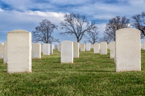 Rows of blank headstones in a cemetery.