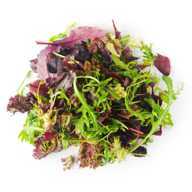 istock Salad mix with arugula and chard, top view 911483818