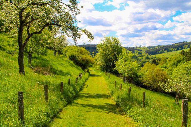 paisaje de la colina en alemania. kronenburg en la región de eifel. - eifel fotografías e imágenes de stock