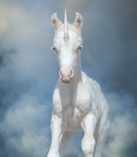 istock Newborn Unicorn with blue eyes running through magical blue smoke. 911484070