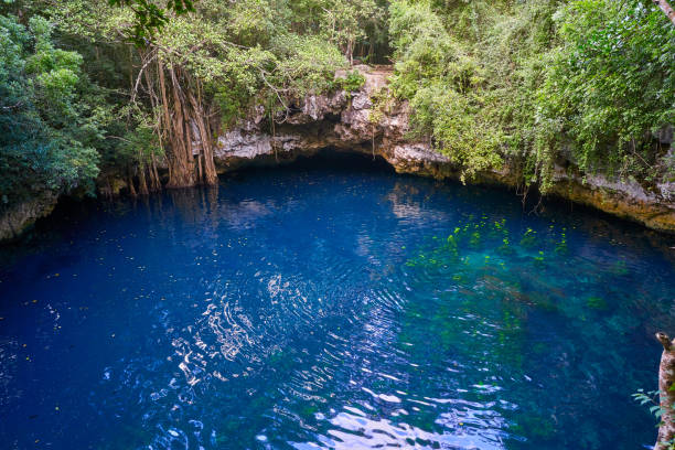 istock Cenote sinkhole in rainforest mayan jungle 911484334