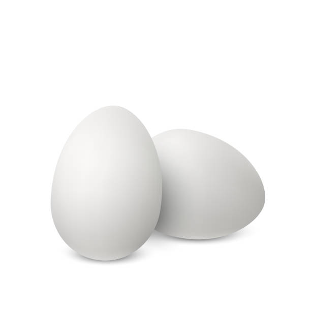 illustrazioni stock, clip art, cartoni animati e icone di tendenza di vettori bianchi uova realistiche. - two eggs