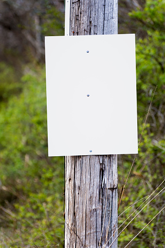 A blank sign on a telephone pole awaits your announcement, ad or message.