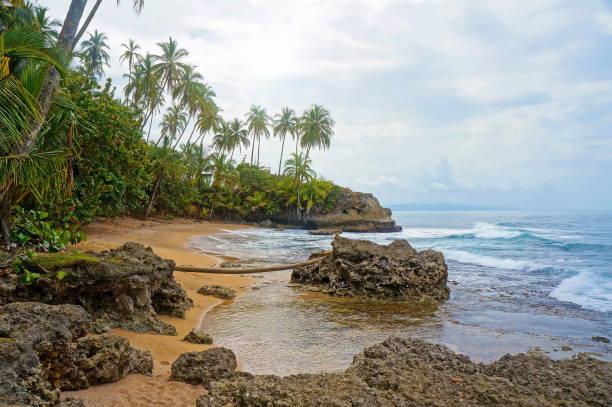 istock Tropical wild beach with cloudy sky 911491166
