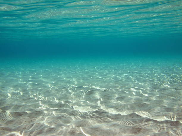 istock Underwater ripples of sunlight in clear shallow water 911491172