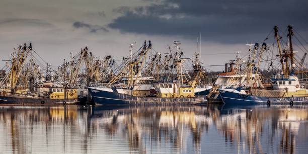 istock Fishing ships during majestic sunset 911497358