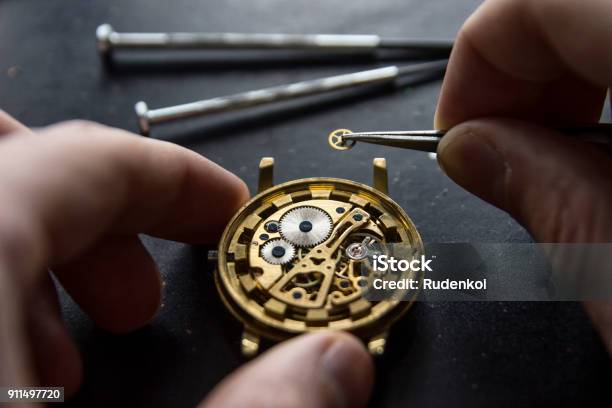 Process Of Installing A Part On A Mechanical Watch Watch Repair Stock Photo - Download Image Now