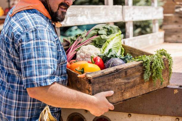istock Organic Farmer Fresh Veggies 911497944