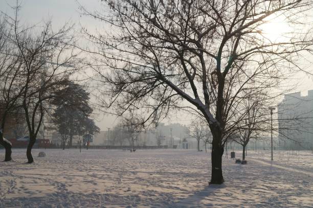 istock Winter landscape in park 911500118