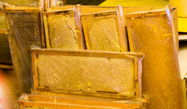 istock Fresh honey in the sealed comb frame 911506472