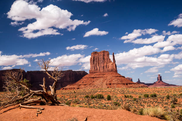 istock Nature's Artistry at Monument Valley 911506554
