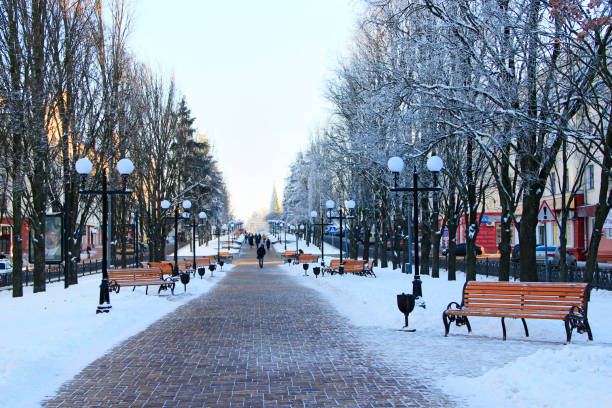 istock winter park in the city 911513266
