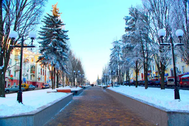Chernihiv / Ukraine. 23 January 2018: beautiful winter park with trees benches and path.  23 January 2018 Chernihiv / Ukraine.