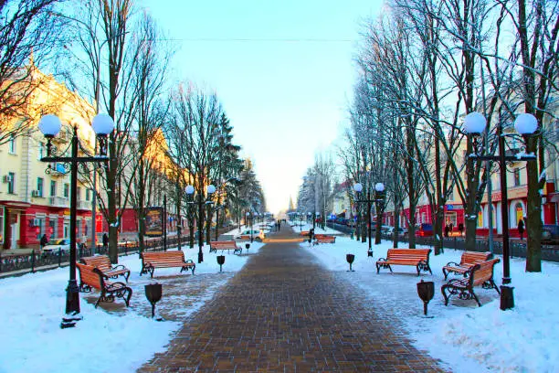 Chernihiv / Ukraine. 23 January 2018: winter beautiful park with many trees benches and path.  23 January 2018 Chernihiv / Ukraine.