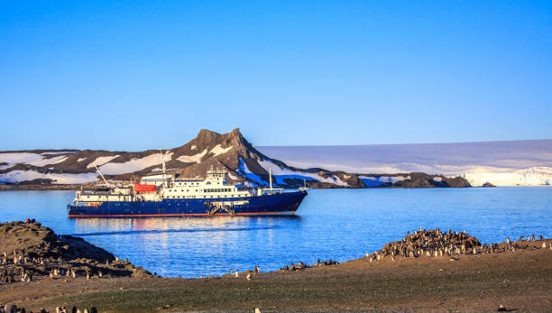 niebieski statek wycieczkowy antarktyki w lagunie i kolonii pingwinów gentoo na brzegu wyspy barrientos, wyspy szetlandy południowe, półwysep antarktyczny - shetland islands zdjęcia i obrazy z banku zdjęć