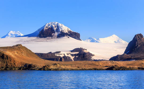 linia brzegowa pokryta dużą ilością małych pingwinów gentoo i szczytów gór śnieżnych, wyspa barrientos, wyspy szetlandy południowe, półwysep antarktyczny - shetland islands zdjęcia i obrazy z banku zdjęć