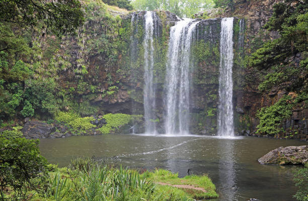 istock Landscape with Whangarei Falls 911526616