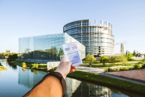 mężczyzna posiadający francuską kartę wyborców carte electorale z parlamentem europejskim - lr pan zdjęcia i obrazy z banku zdjęć