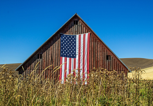 Weathered Red Barn with American Flag in a wheat field against a bright blue sky