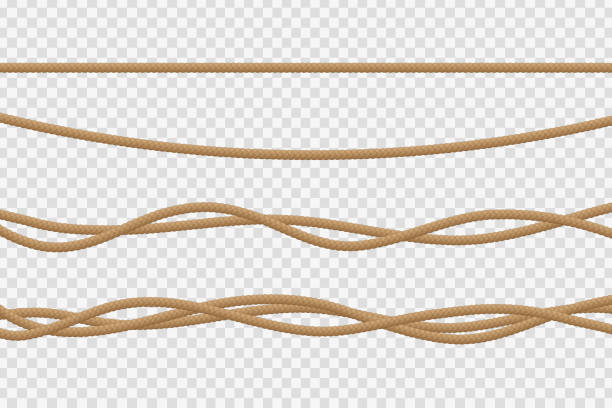 ilustrações, clipart, desenhos animados e ícones de vector realista isolado corda para decoração e cobertura no plano de fundo transparente. - rope