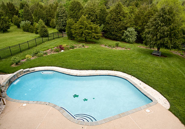 istock Overview of luxury pool 91154614