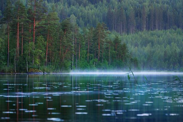 istock Saimaa lake in Finland 911552214